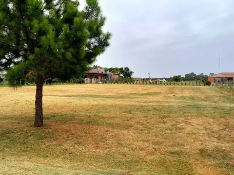 VENTA-LOTE 1750 M2-BARRIO EL MIRADOR-CNEL BRANDSEN