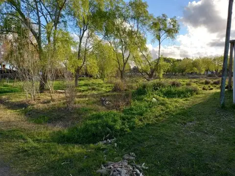 Terreno en Venta 40  mts Fondo