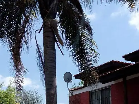 Quinta en Venta en Del Viso, USD 120.000