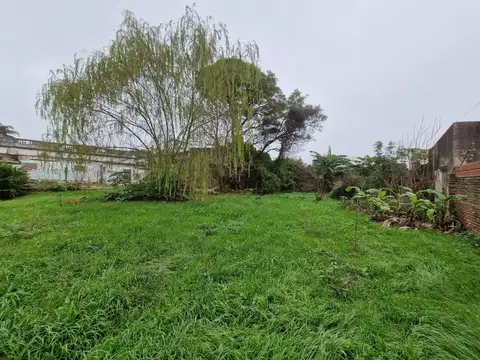 Terreno en Venta 41  mts Fondo