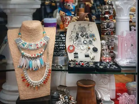 Chiozza 3100