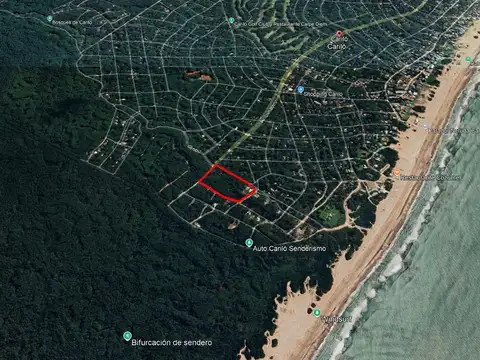 Terreno en Venta 42  mts Fondo