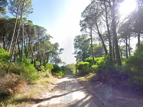 Terreno de 1238m2 en Venta - Cariló