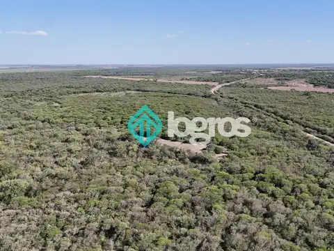 Campo en venta de 380 ha ubicado en Joaquín V. González, Anta, Salta