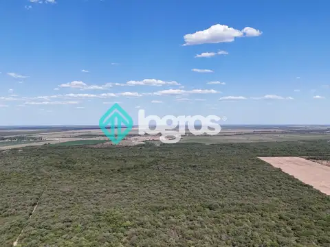 Campo en venta de 380 ha ubicado en Joaquín V. González, Anta, Salta