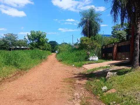Carlos Lineos