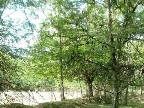 Terreno en Venta en Barrio El Cazador, USD 400.000