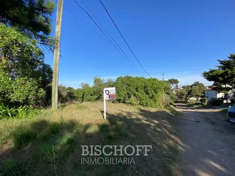 moreno entre Alberdi y almirante Brown