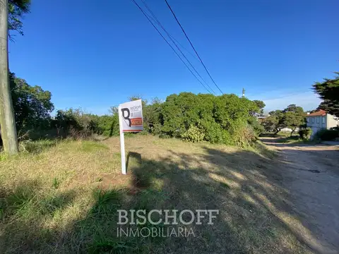 Venta de Lote en Ostende calle Moreno 