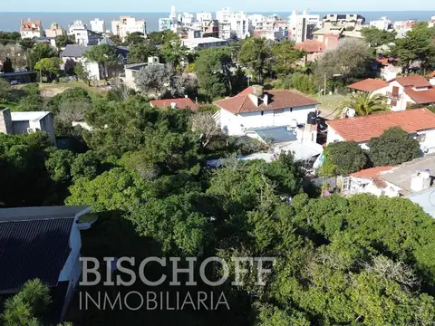 Venta de Lote en Ostende calle Moreno