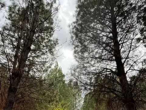 Terreno en Venta de 2,0 m2