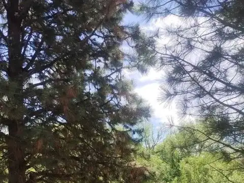 VENTA TERRENO SAN MARTIN DE LOS ANDES. CAMINO AL AEROPUERTO CON COSTA RIO QUILQUIHUE