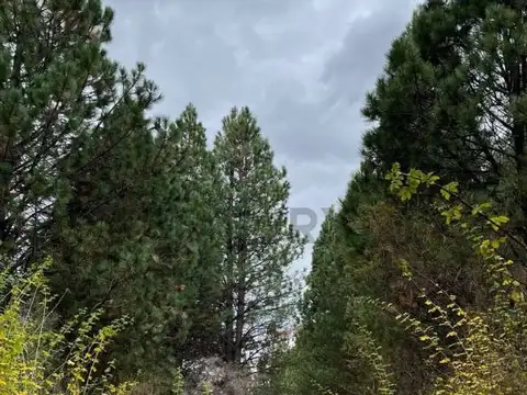 VENTA TERRENO SAN MARTIN DE LOS ANDES. CAMINO AL AEROPUERTO CON COSTA RIO QUILQUIHUE