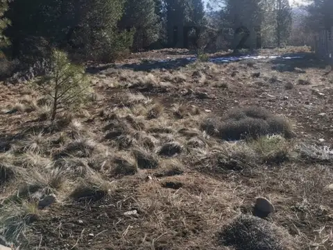 Terreno en Venta de 2,0 m2