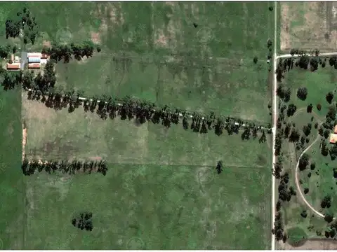 Campo Mixto 470 Has - Inmejorables instalaciones - Fácil Acceso