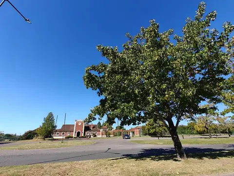 Terreno en Venta en Pilar Del Este - Santa Elisa, USD 30.000