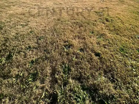 Campo en Venta de 0,07  ha