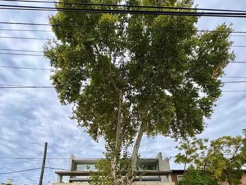 Departamento en Venta de 5 ambientes