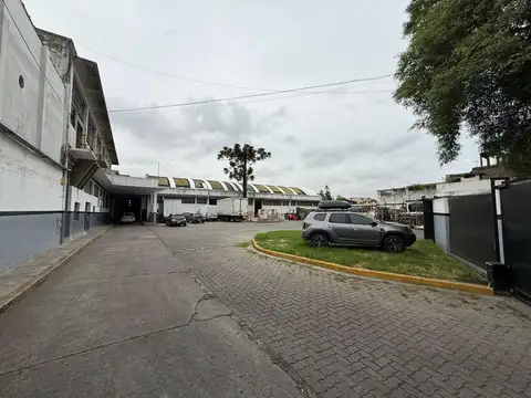 Emilio Mitre 1000