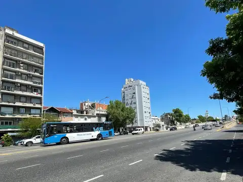 Galpon en Alquiler 25  mts Fondo