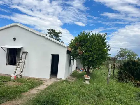 Campo en venta - 80.000mts2 - Exaltación de La Cruz