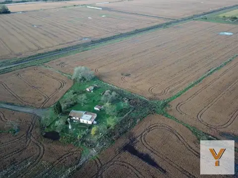 Campo en venta - 80.000mts2 - Exaltación de La Cruz