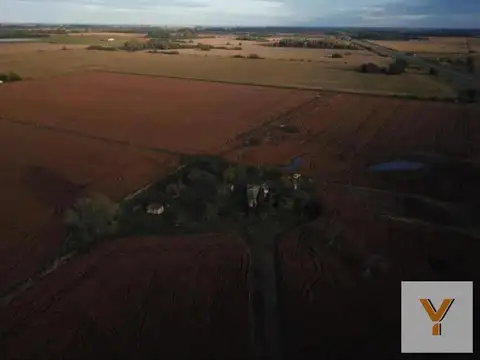 Campo en venta - 80.000mts2 - Exaltación de La Cruz