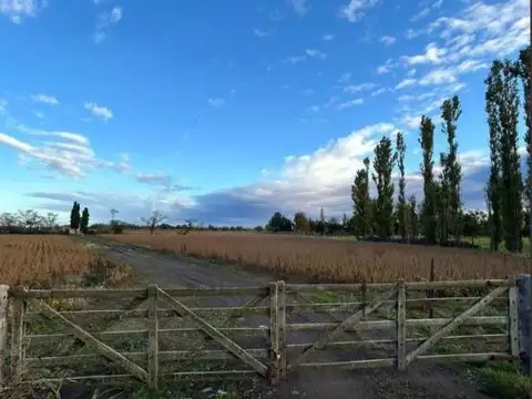 Ruta 8 y Diego Gaynor