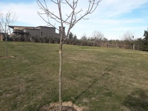 Lotes en el Naudir 1, el Cazador