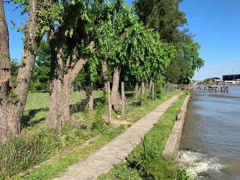 Venta de lote de 1 hectárea en primera sección de islas del delta, Tigre, con escritura.