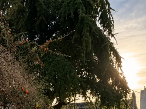 Terreno en Venta en San Nicolas de los Arroyos, Partido de San Nicolás