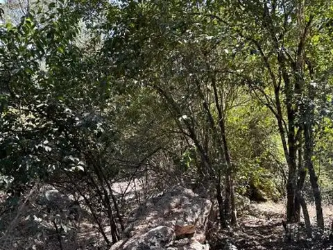 Terreno en Venta de 800,0 m2