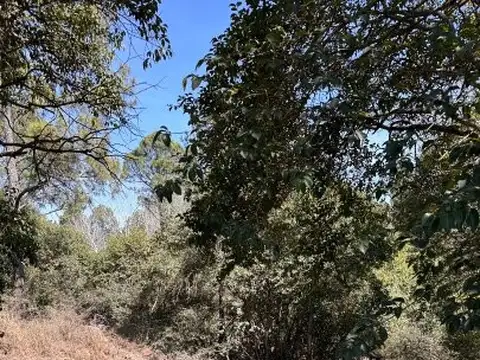 Terreno en Venta de 800,0 m2