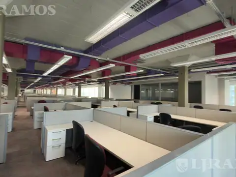 Oficina en Alquiler A Estrenar
