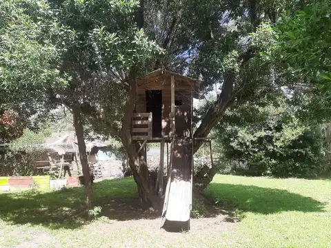 Lotes: 6 de la Fracción XI. Estación Camet, campo “La Trinidad”.