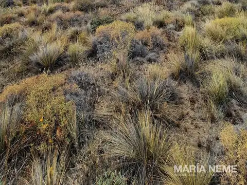 Barrancas de Dina Huapi
