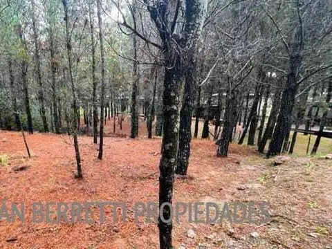 Terreno Lote  en Venta en Pinamar, Costa Atlántica, Buenos Aires