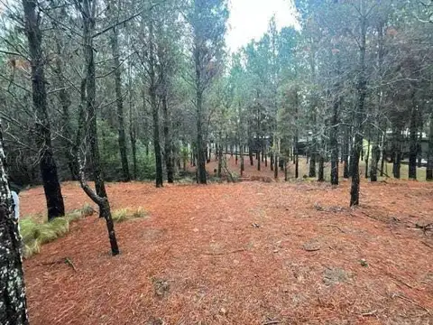 Terreno en Venta en Pinamar, USD 92.000