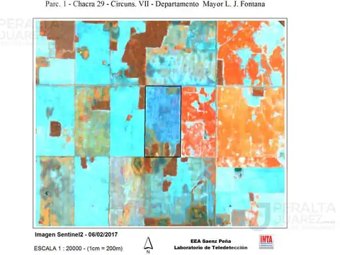 Campo - Colonia Juan Jose Paso