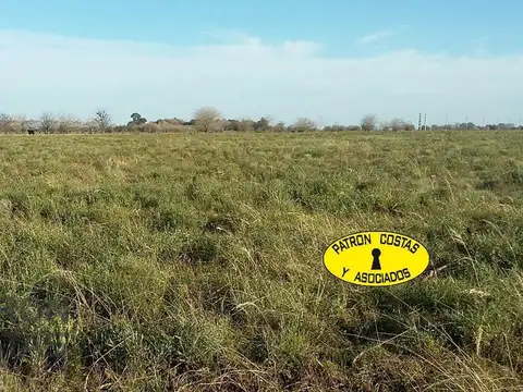 Ruta Provincial 24