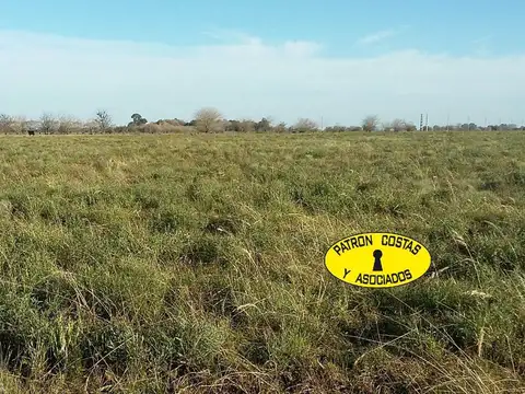 Ruta Provincial 24