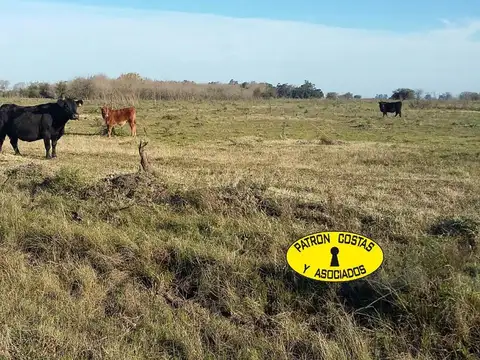 Ruta Provincial 24