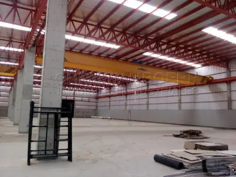 PARQUE IND TIGRE - Pte. GRÚA 8tn - 3872M CUB INDUSTRIALES