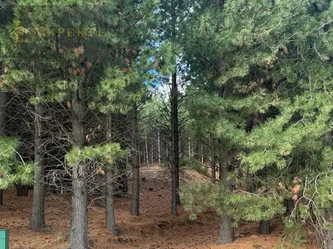 Terreno en Venta de 2403,0 m2