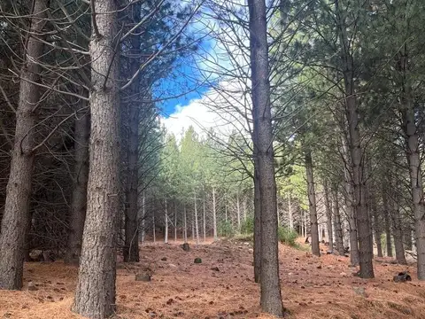 Terreno en Venta de 2403,0 m2