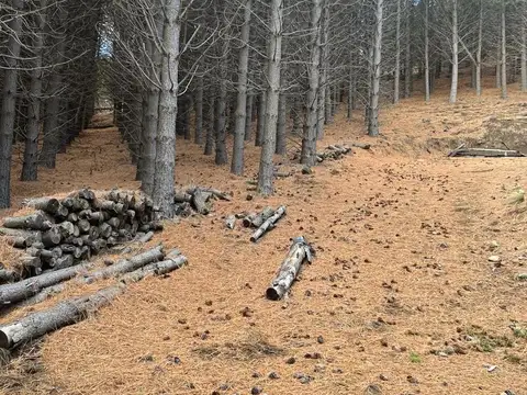 Terreno en Venta en San Martín de los Andes, USD 89.500