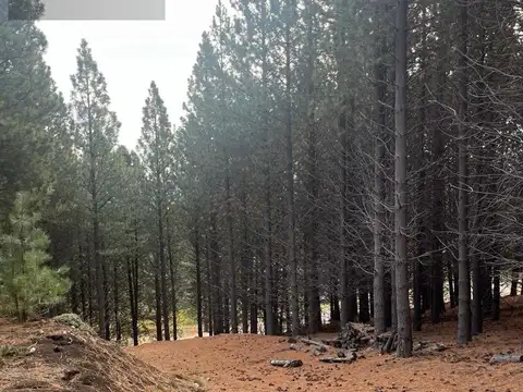 Terreno en Chapelco Golf &amp; Resort