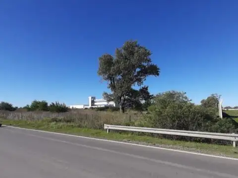Lote en venta sobre autopista Rosario - Bs As Zona industrial 17700 METROS