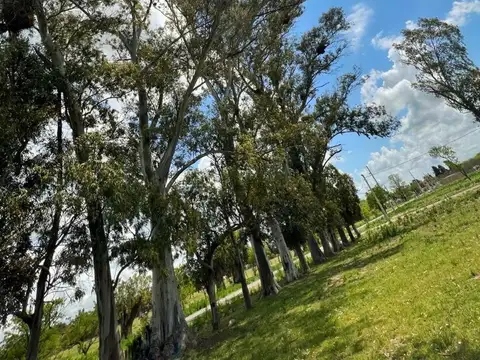 Excelente lote en Cañuelas Barrio las cañitas