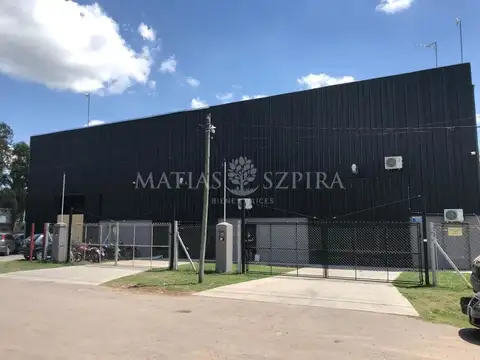 Tirso de Molina 1000